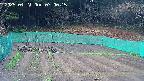 kannonmori-20250421070017.jpg