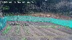 kannonmori-20250421075016.jpg