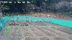 kannonmori-20250421080016.jpg