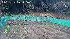 kannonmori-20250421081016.jpg