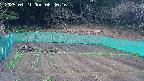 kannonmori-20250421084016.jpg