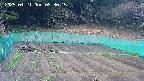 kannonmori-20250421093017.jpg