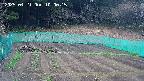 kannonmori-20250421100017.jpg