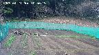 kannonmori-20250421105017.jpg