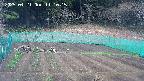 kannonmori-20250421111016.jpg