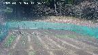 kannonmori-20250421122015.jpg