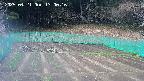 kannonmori-20250421130018.jpg