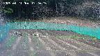 kannonmori-20250421132016.jpg