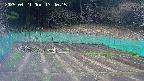 kannonmori-20250421134017.jpg