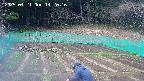 kannonmori-20250421142017.jpg