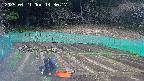 kannonmori-20250421143018.jpg