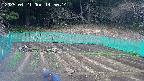 kannonmori-20250421145015.jpg