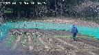 kannonmori-20250421164017.jpg