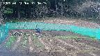 kannonmori-20250421170016.jpg