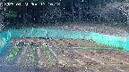 kannonmori-20250421171020.jpg