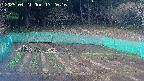 kannonmori-20250421172018.jpg