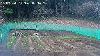 kannonmori-20250421180016.jpg