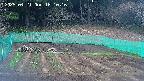 kannonmori-20250421181017.jpg