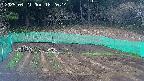 kannonmori-20250421182016.jpg