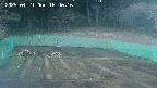 kannonmori-20250421184017.jpg