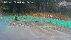 kannonmori-20250423072017.jpg