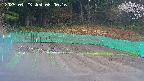 kannonmori-20250423080017.jpg