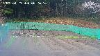 kannonmori-20250423082017.jpg