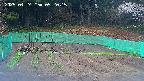 kannonmori-20250424052016.jpg