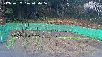 kannonmori-20250424053017.jpg