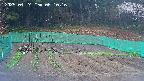 kannonmori-20250424061017.jpg