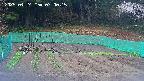 kannonmori-20250424070016.jpg