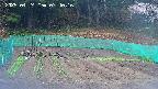 kannonmori-20250424074017.jpg
