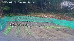 kannonmori-20250424093018.jpg