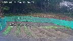 kannonmori-20250424130015.jpg