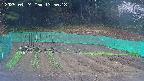 kannonmori-20250424135020.jpg