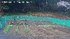 kannonmori-20250424160016.jpg