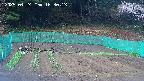 kannonmori-20250424163015.jpg