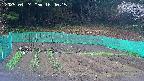kannonmori-20250424164017.jpg