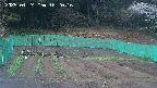kannonmori-20250424182018.jpg