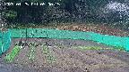 kannonmori-20250425050017.jpg