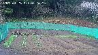 kannonmori-20250425052017.jpg