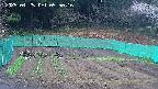 kannonmori-20250425055017.jpg