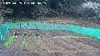 kannonmori-20250425063016.jpg