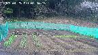 kannonmori-20250425074017.jpg