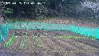 kannonmori-20250425075016.jpg