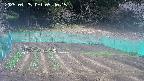 kannonmori-20250425094016.jpg