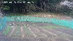 kannonmori-20250425105017.jpg