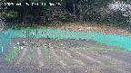 kannonmori-20250425110017.jpg