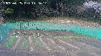 kannonmori-20250425112015.jpg