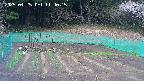 kannonmori-20250425114017.jpg